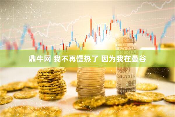 鼎牛网 我不再慢热了 因为我在曼谷